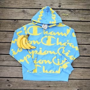 Champion Reverse Weave Spellout Hoodie Sweatshirt